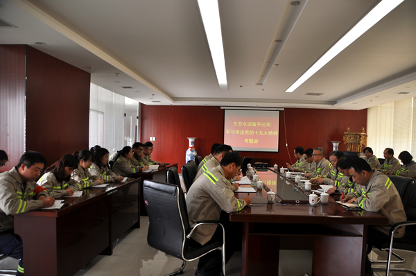 富平公司召开传达学习党的十九大精神专题会