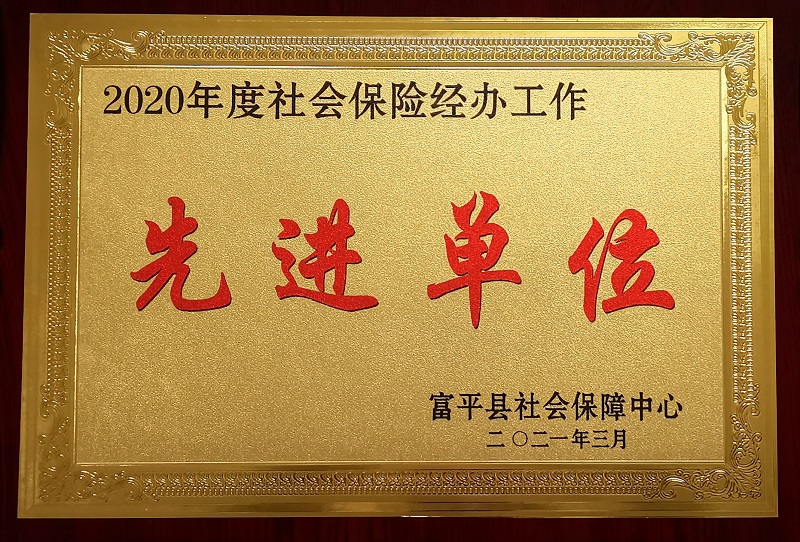 富平公司荣获富平县“社会保险工作先进单位”