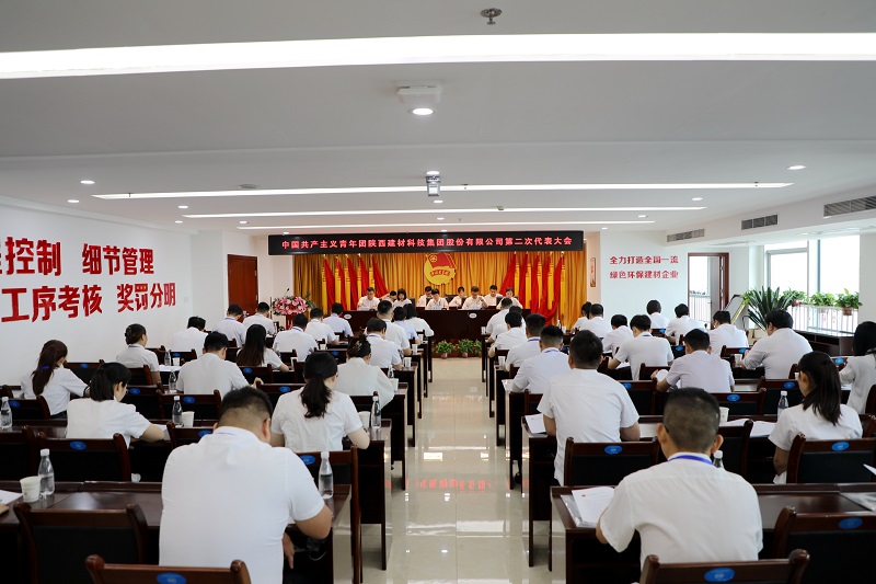 高举团旗跟党走 青春建功新征程——共青团陕西建材科技集团股份有限公司第二次代表大会胜利召开